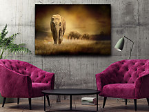 Obraz Slony v Afrike zs1187